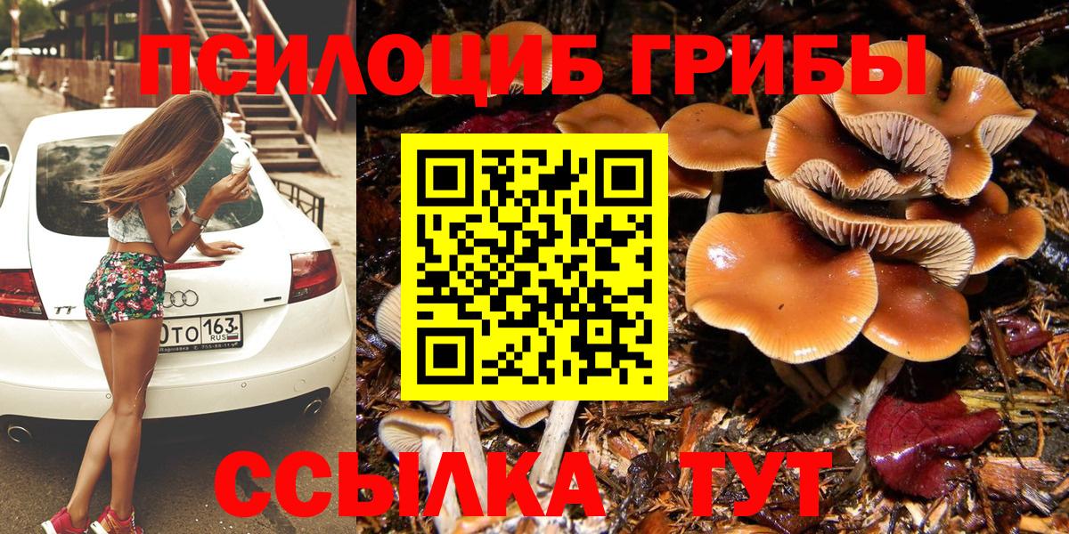 Галлюциногенные грибы Psilocybine cubensis  Галлюциногенные грибы Magic Shrooms  Симферополь  Вход с VPN 